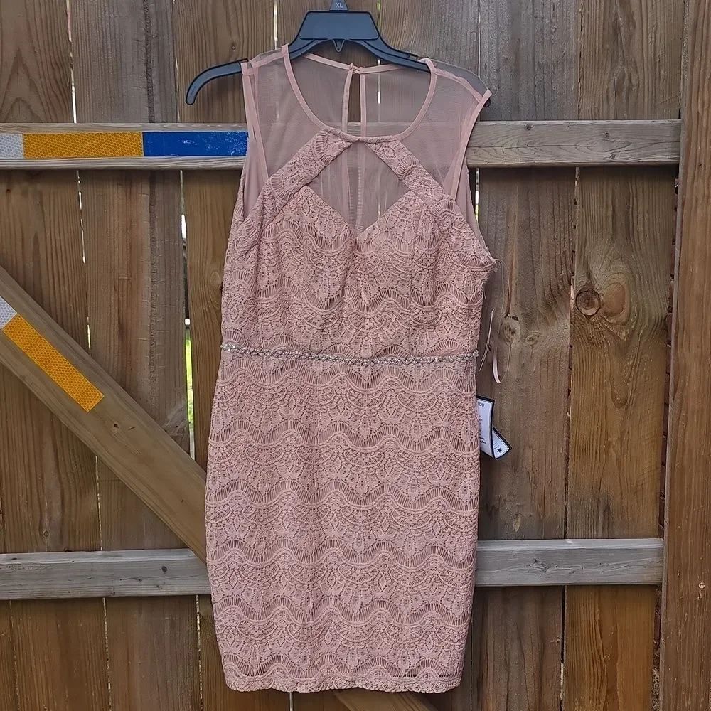Elegant Lace Sleeveless Dress in Blush Pink